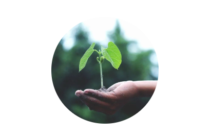 520·健康植保日丨擁抱綠色農業(yè)，暢享健康生活