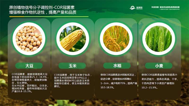 生物科技 賦能農(nóng)業(yè)穩(wěn)產(chǎn)保供——第十屆植物生長調(diào)節(jié)劑發(fā)展與應用交流會在四川眉山召開