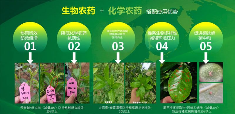 新朝陽在第六屆中國農(nóng)藥行業(yè)市場和銷售高峰論壇做“生物農(nóng)藥+化學(xué)農(nóng)藥，引領(lǐng)植保市場未來”主題報告
