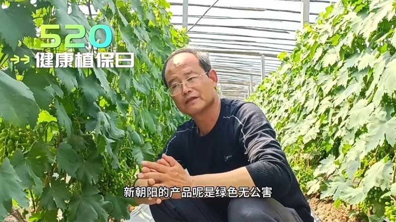 520健康植保日——擁抱綠色農(nóng)業(yè)，我們在行動