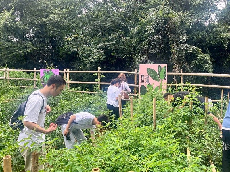結對共建|新朝陽黨支部開展慶“七一” 主題活動